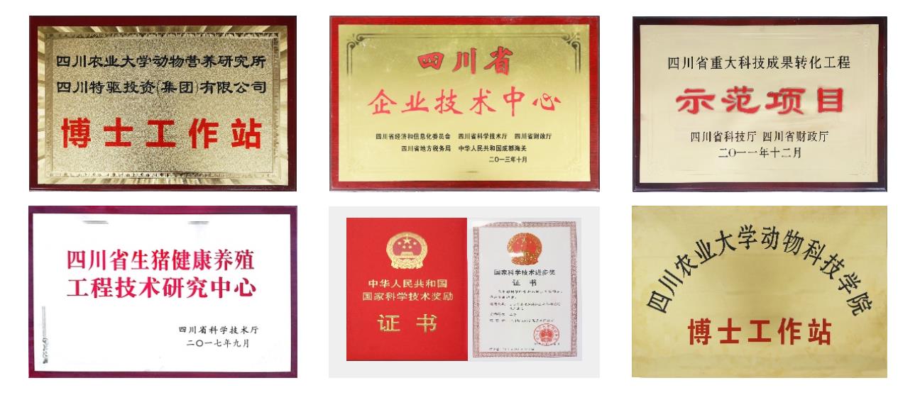 技术奖项 技术奖项